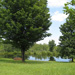 Yoga pond