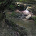Yoga creek