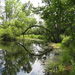 Yoga little pond